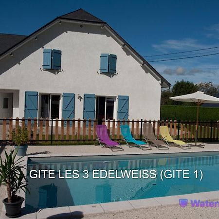 Les 3 Edelweiss - Gite 1 Ou Gite 2 Arette Kültér fotó