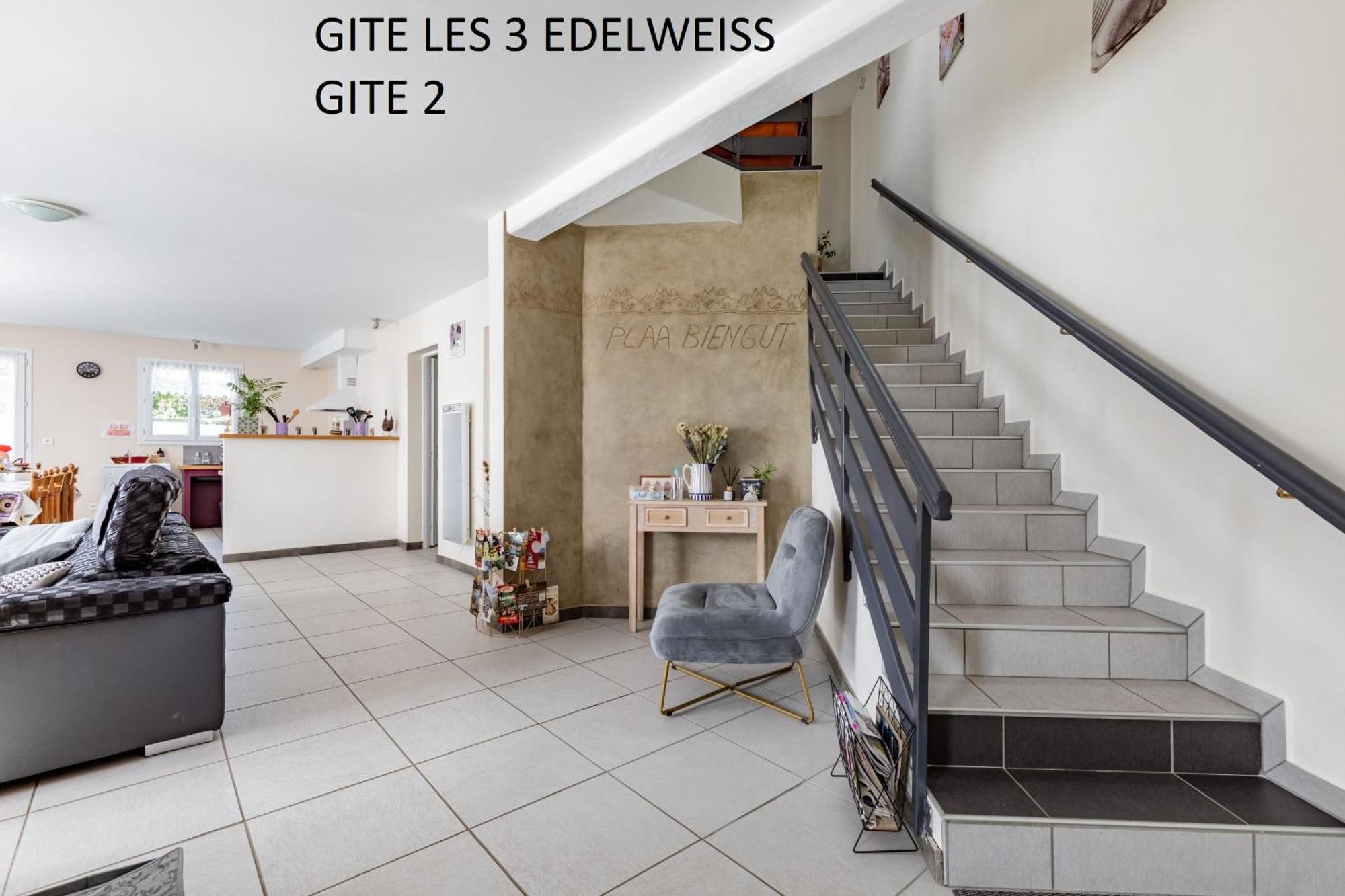 Les 3 Edelweiss - Gite 1 Ou Gite 2 Arette Kültér fotó